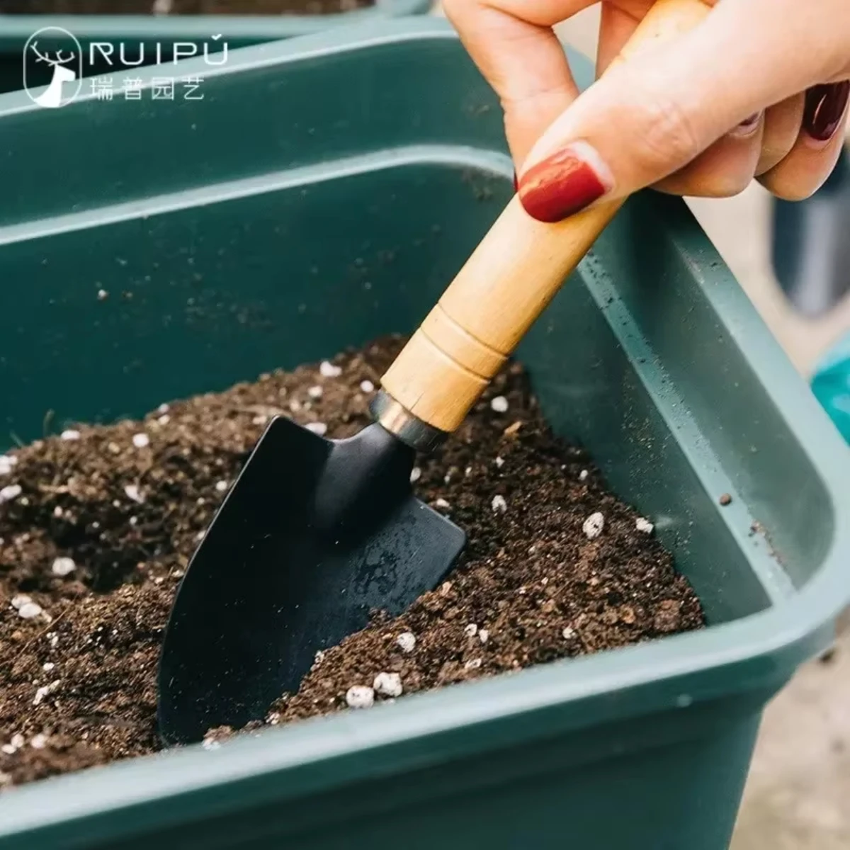 정원용 미니 도구 세트 3개입: 화분, 선인장, 채소, - Gardening Tools Vegetables 리뷰 및 가격