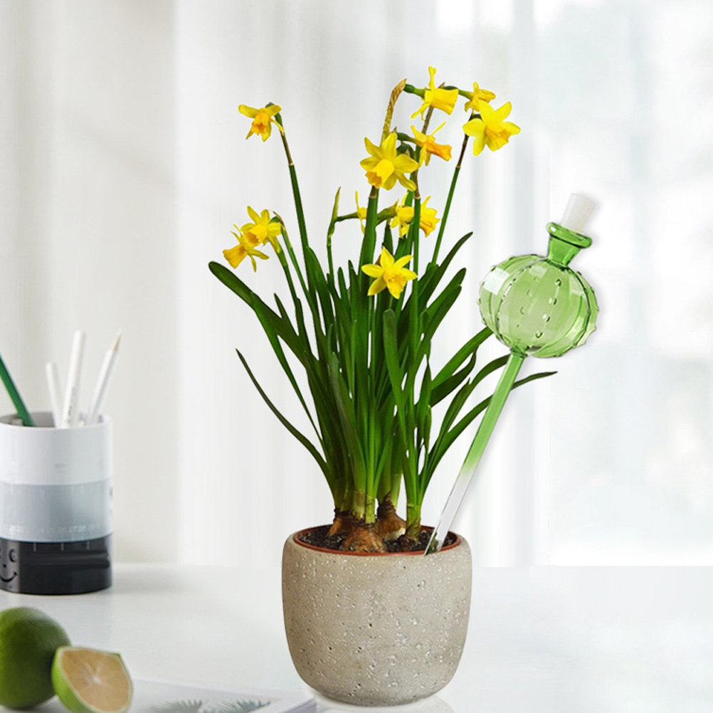 실내외 식물용 자동 급수 장치, 대용량, 장식용, 정원 - Automatic Plant Waterer 리뷰 및 가격